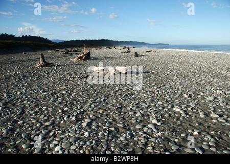 Treibholz angespült am Strand von Okuru, an der Westküste der Südinsel, Neuseeland Stockfoto