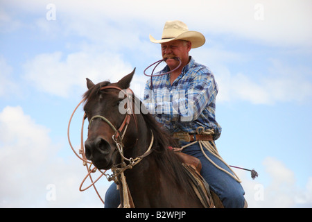 Ein Cowboy bereitet Kalb roping bei einem Rodeo statt in Hamilton, auf der Nordinsel, Neuseeland Stockfoto