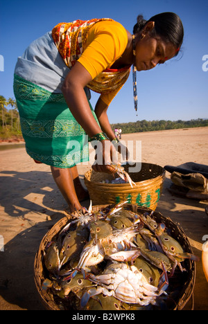 Frau sortieren fangen, Agonda Beach, Süd-Goa, Indien, Asien Stockfoto