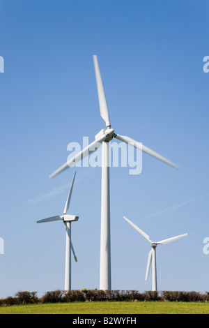 Drei Windkraftanlagen Elektrizität Generatoren für die Stromerzeugung auf einem Onshore Windpark vor blauem Himmel auf der ländlichen Insel Anglesey im Norden von Wales UK Stockfoto