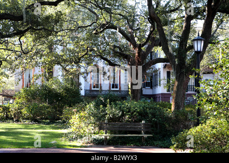 MONTEREY PLATZ IM HISTORISCHEN BEZIRK VON SAVANNAH GEORGIA USA Stockfoto