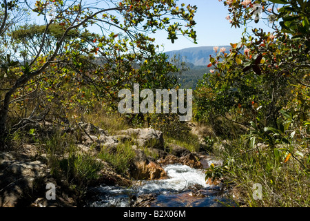 Cachoeiras, Rio Cristal Chapada Dos Veadeiros, Veadeiros Tableland, Goias, Brasilien Stockfoto