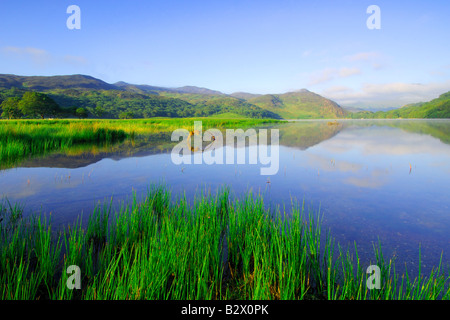 Ein wunderschön ruhiger Morgen um Llyn Dinas in Snowdonia-Nationalpark Nord-Wales Stockfoto