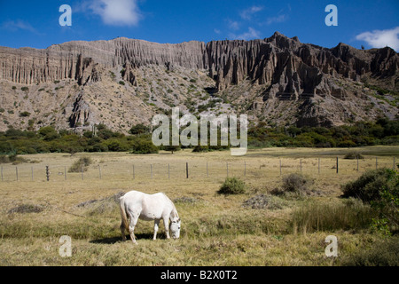 Quebrada de Humahuaca, Provinz Jujuy Stockfoto