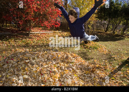 Junge, springen in Haufen Blätter Stockfoto