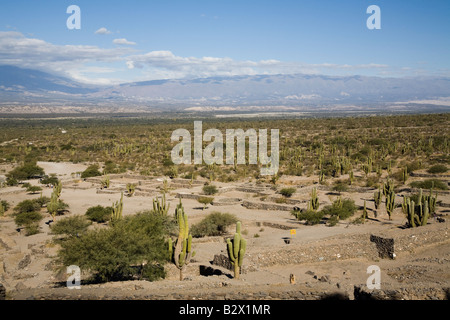 Ruinas de Quilmes, Valles Calchaquies, Provinz Salta, Argentinien Stockfoto