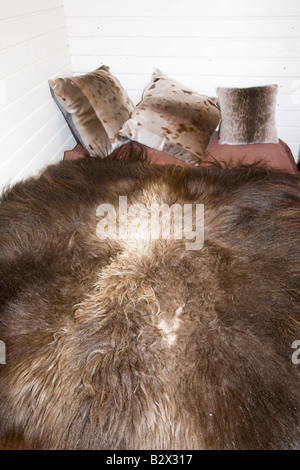 Moschusochsen Vlies auf einem Bett im Camp Victor bei Eqip Sermia auf der West-Grönland Stockfoto