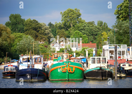 Boote vertäut am Fluß Themse, Unsitten Riverside, Twickenham, Richmond Upon Thames, Greater London, England, Vereinigtes Königreich Stockfoto