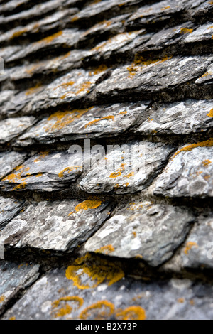 Stein-Dach in spie mittelalterliche Burg, Normandie, Frankreich Stockfoto