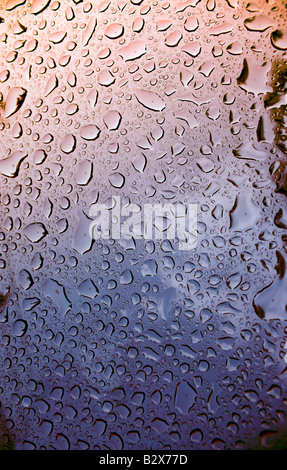 Ein Makro einige schöne Wassertropfen auf blauem Hintergrund Stockfoto