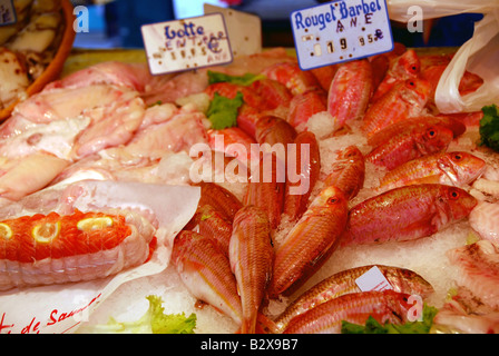 Frische Meeresfrüchte auf dem Eis zu verkaufen am Fischmarkt Stockfoto