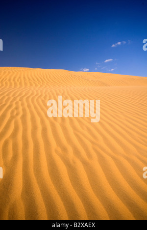 Sam Sanddünen, große Wüste Thar, Rajasthan, Indien, Subkontinent, Asien Stockfoto