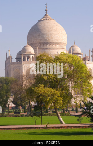 Taj Mahal, Agra, Uttar Pradesh, Indien, Asien Subkontinent Stockfoto