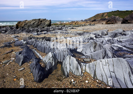 Felsen am Strand Dollar Cove (auch bekannt als Jangye Ryn) auf der Lizard Halbinsel Cornwall ausgesetzt. Stockfoto