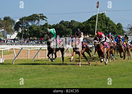 2006 Barbados Pferderennen, Sandy Lane Gold Cup in Garrison Savannah Rennstrecke in Bridgetown, Barbados, West Indies Stockfoto