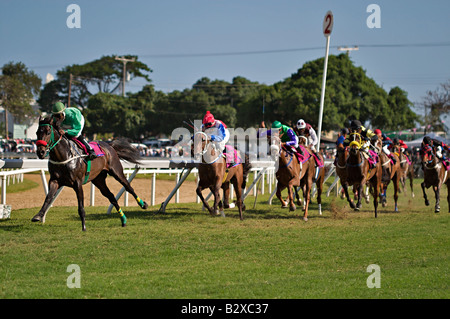 2006 Barbados Pferderennen, Sandy Lane Gold Cup in Garrison Savannah Rennstrecke in Bridgetown, Barbados, West Indies Stockfoto