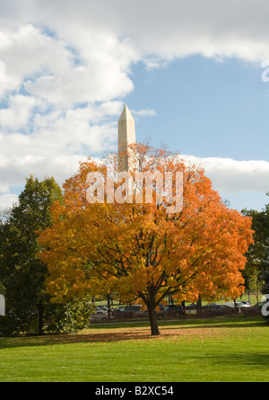 Washington DC USA The Washington Monument und Herbstfarben in der Nähe von White House Photo Copyright Lee Foster Bild 2 washdc75443 Stockfoto