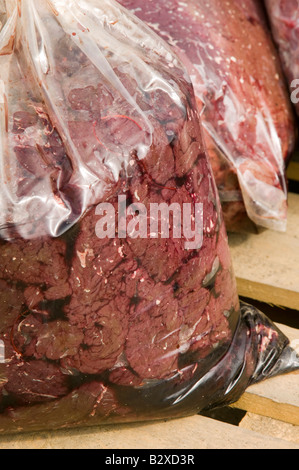 Robbenfleisch in einer Tasche am Kai bei Ilulissat in Grönland das Siegel ein Inuit-Jäger erschossen wurde Stockfoto