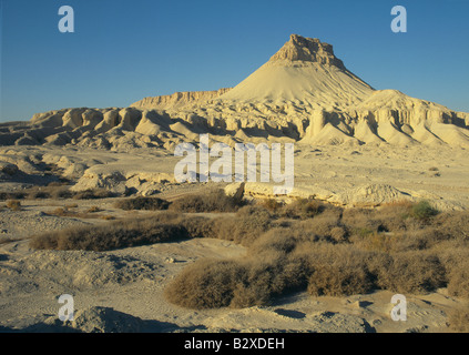 Israel Negev Wüste Zin Mount Panorama mit Sträuchern in frgd Stockfoto