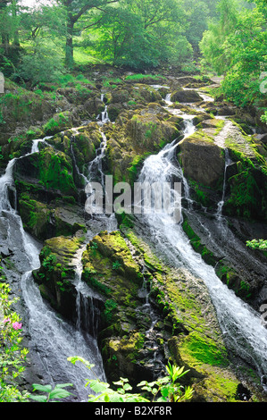 Swallow Falls am Fluss Afon Llugwy in der Nähe von Betws-Y-Coed in Nordwales Teil des Snowdonia-Nationalpark Stockfoto