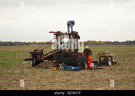 Riesige Armbrust Struktur mit Schlinge in Mitte der Arme. Stockfoto
