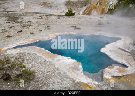 Blue Star Spring, oberen Becken von Yellowstone Stockfoto