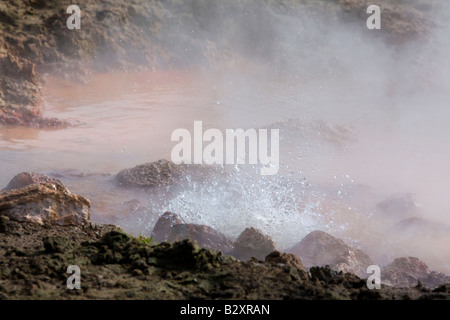 Brunnen Sie Paintpots - Firehole, Yellowstone-Nationalpark Stockfoto