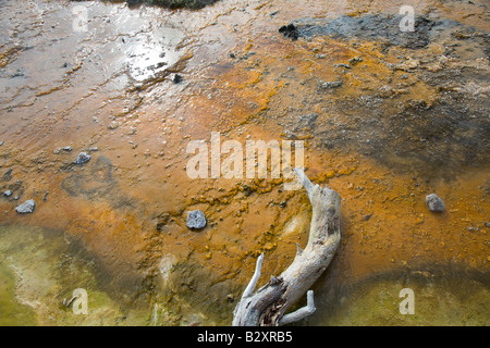 Brunnen Sie Paintpots 3 - Firehole, Yellowstone-Nationalpark Stockfoto