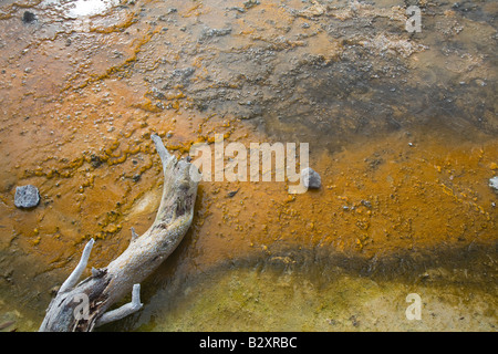 Brunnen Sie Paintpots 4 - Firehole, Yellowstone-Nationalpark Stockfoto