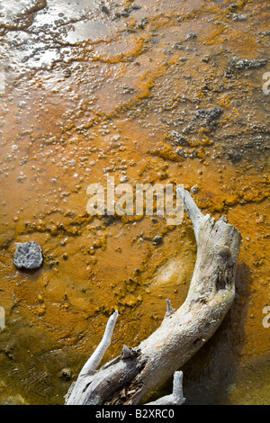 Brunnen Sie Paintpots 6 - Firehole, Yellowstone-Nationalpark Stockfoto