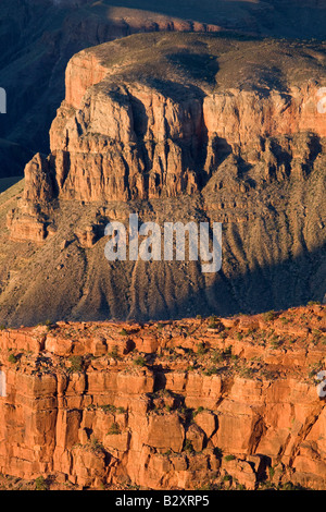 Mather Point des Grand Canyon-am späten Nachmittag 7 Stockfoto