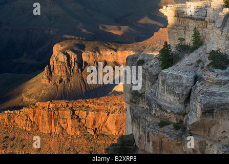 Mather Point des Grand Canyon-am späten Nachmittag 8 Stockfoto