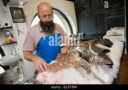 Fischhändler, die Vermittlung von Anzeige der lokalen Cardigan Bay Frischfisch Aberaeron Wales UK Rotzunge Seehecht Kabeljau und Seehecht Stockfoto