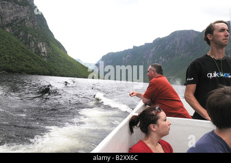 Im Sommer und frühen Herbst können Besucher zum Gros Morne National Park Boot Western Brook Pond besichtigen. Stockfoto