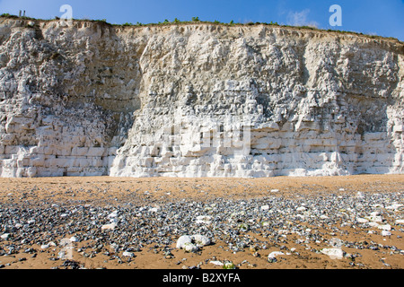 Weißen Kreidefelsen Joss Bay in Kent mit Feuersteine erodiert aus dem Felsen aufgetürmt am Strand Stockfoto