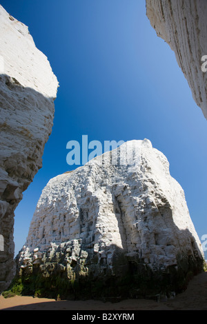 Kreide-Stacks in die wunderschönen Botany Bay in der Nähe von Margate in Kent Stockfoto