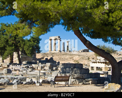 Antike griechische Tempel des Apollon Ruinen mit Baum an der Grenze im Vordergrund alte Korinth, Griechenland JPH0048 Stockfoto