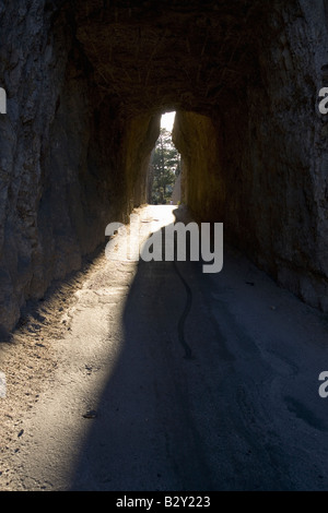 Tunnel auf Nadeln Autobahn, Black Hills, in der Nähe von Mount Rushmore National Memorial, South Dakota Stockfoto