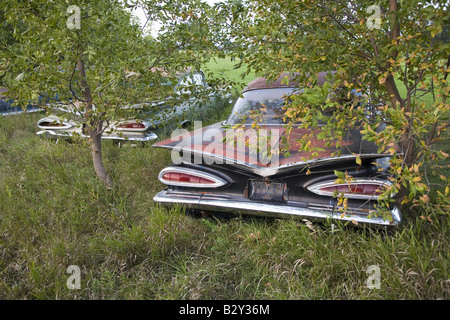 1959-Chevie mit neuen Chevrolets und 1960er Jahren Autos nie laufen Fäulnis im Feld-Hof in der Nähe von Norfolk, Nebraska Stockfoto