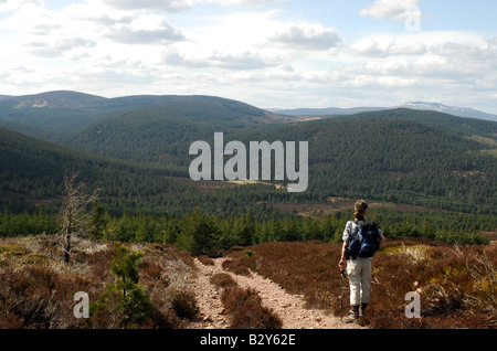 ein einsamer Wanderer beendet, fantastischen Ausblick auf den oberen Hügeln des Anwesens Glen Tanar in Aberdeenshire zu bewundern Stockfoto