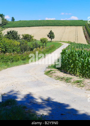 SCHMUTZ LANDWIRTSCHAFT STRAßE MIT MAIS UND HOP FELDER ELSASS FRANKREICH Stockfoto