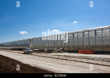 Die lange Seite des Gewächshaus im Bau in Kent Stockfoto