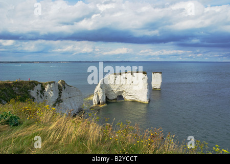 Old Harry rocks Studland Dorset UK Stockfoto