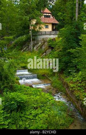 Stream direkt unterhalb Schloss Peles in Sinaia Rumänien Europa Stockfoto