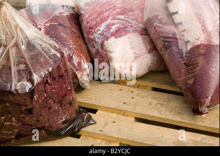 Robbenfleisch in einer Tasche am Kai bei Ilulissat in Grönland das Siegel ein Inuit-Jäger erschossen wurde Stockfoto
