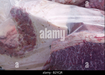 Robbenfleisch in einer Tasche am Kai bei Ilulissat in Grönland das Siegel ein Inuit-Jäger erschossen wurde Stockfoto