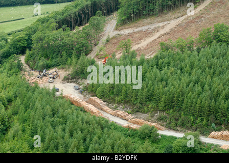 Forstmaschinen, die Verarbeitung von Holz im Wald, Ceredigion, Wales Stockfoto