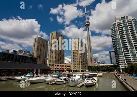 Hochhauswohnungen und der CN Tower gesehen vom Hafen von Toronto, Ontario, Kanada. Stockfoto