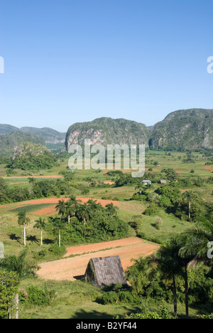 Blick über Viñales-Tal in Richtung steilen Kalkstein Mogotes Kuba Stockfoto