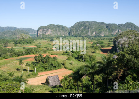 Blick über Viñales-Tal in Richtung steilen Kalkstein Mogotes Kuba Stockfoto